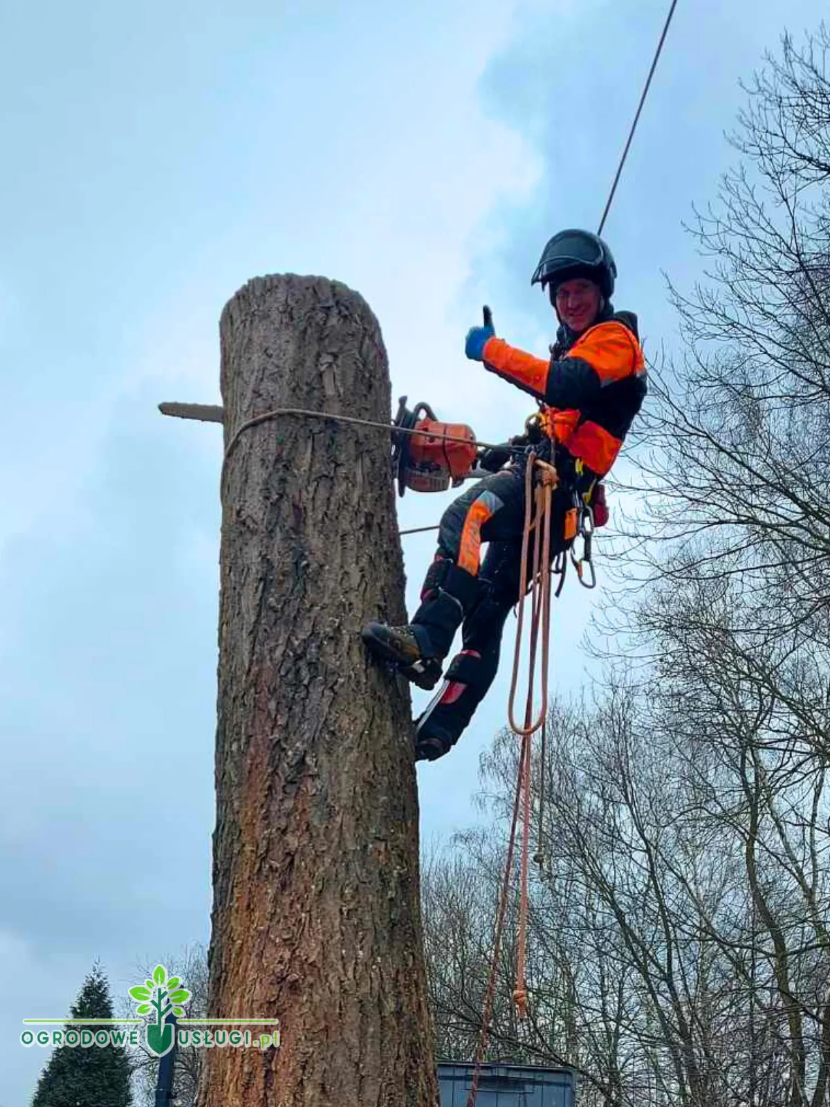 Wycinka drzew metodą alpinistyczną